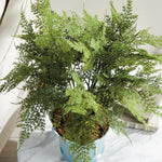 Plumosa Fern 21in Drop-In Faux Plant