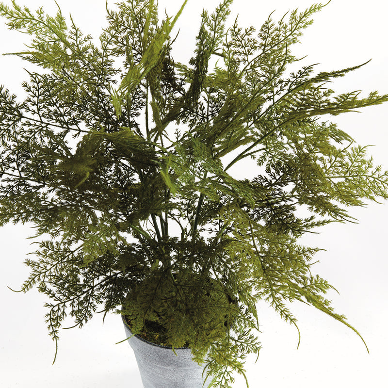 Plumosa Fern 21in Drop-In Faux Plant