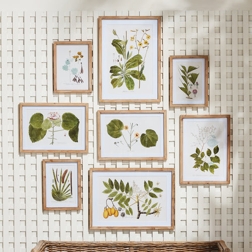 Flora and Fauna Gallery Print Set of 8