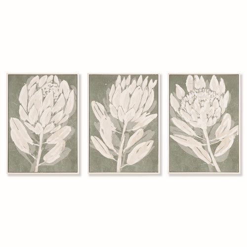 Protea Triptych Hand-Embellished Giclee Set of 3