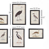 Waterfowl Gallery Wall Art Set of 6