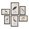 Waterfowl Gallery Wall Art Set of 6