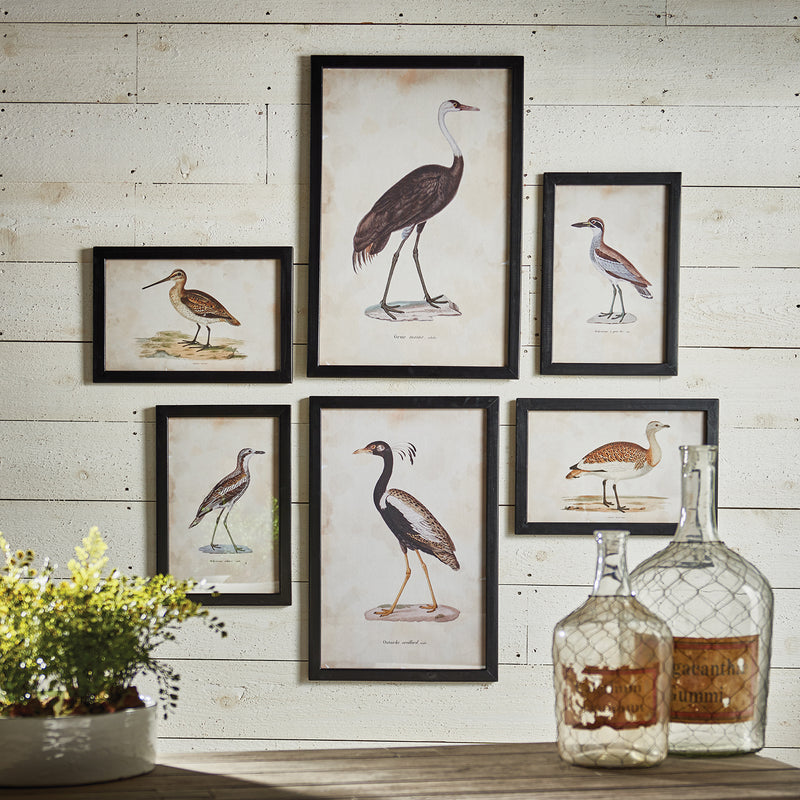 Waterfowl Gallery Wall Art Set of 6