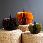 Accordion Paper Pumpkin Set of 3