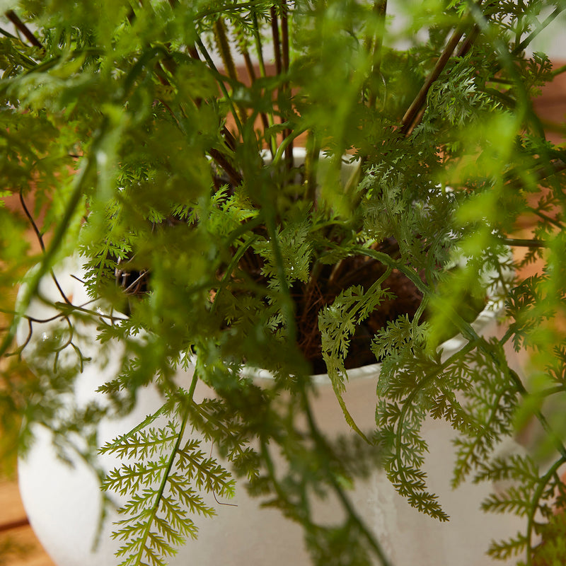 Soft Fern Drop-In Faux Plant