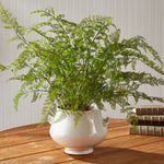 Soft Fern Drop-In Faux Plant