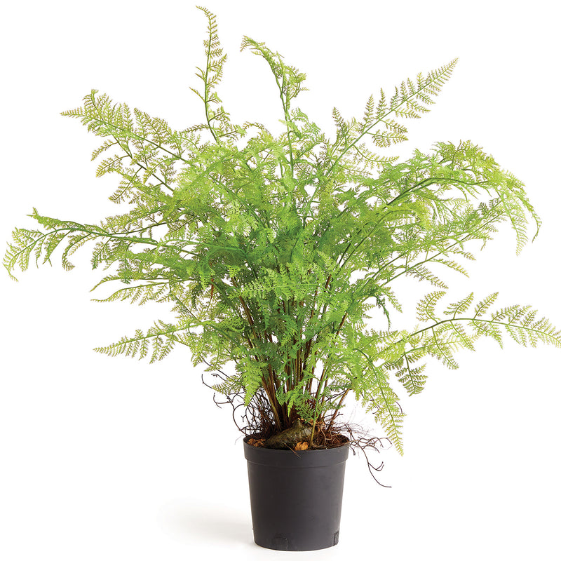 Soft Fern Drop-In Faux Plant