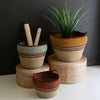 Colorful Seagrass Storage Basket Set of 3