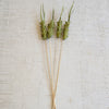 Pineapple Dried Green Faux Plant Stem Set of 12