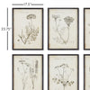 Wildflower Study Wall Art Set of 6