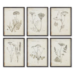 Wildflower Study Wall Art Set of 6