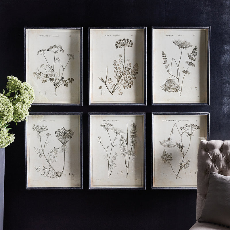 Wildflower Study Wall Art Set of 6