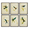 Hummingbird Print Wall Art Set of 6