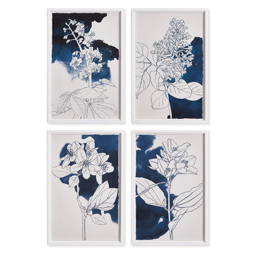 Studio Floral Sketches Wall Art Set of 4