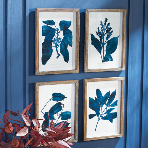 Indigo Botanicals Wall Art Set of 4