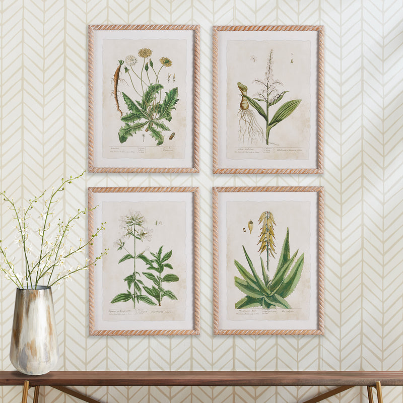 Vintage Botanical Study Wall Art Set of 4