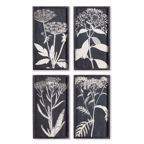 Monochrome Queen Annes Lace Wall Art Set of 4