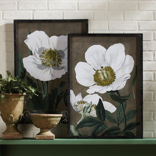 Poppy Wall Art Set of 2