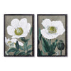 Poppy Wall Art Set of 2