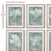 Translucent Floral Wall Art Set of 6