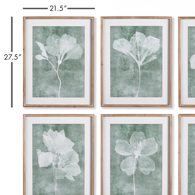 Translucent Floral Wall Art Set of 6