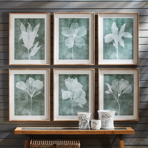 Translucent Floral Wall Art Set of 6