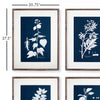 Cyano Botanical Leaf Study Wall Art Set of 4