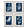 Cyano Botanical Leaf Study Wall Art Set of 4