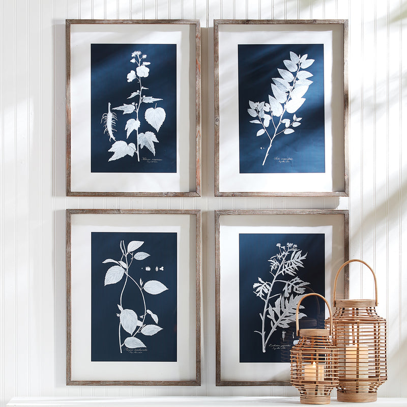 Cyano Botanical Leaf Study Wall Art Set of 4