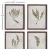 Petite Frond Wall Art Set of 4