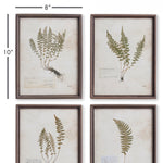 Petite Frond Wall Art Set of 4