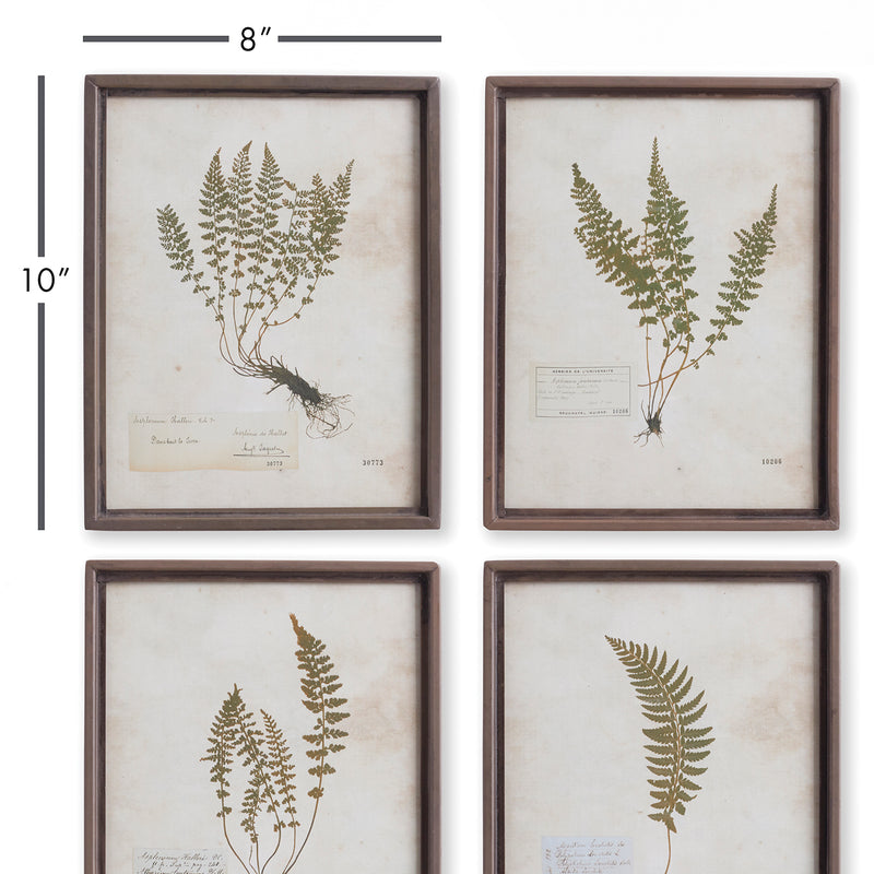 Petite Frond Wall Art Set of 4