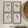 Petite Frond Wall Art Set of 4