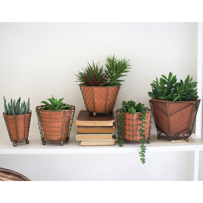 Wire Wrap Planter Set of 5