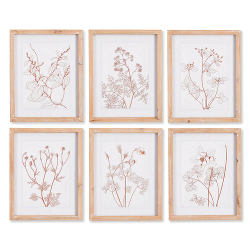 Botanicals In Blush Print Wall Art Set of 6