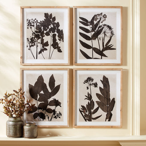 Pressed Foliage Wall Art Set of 4