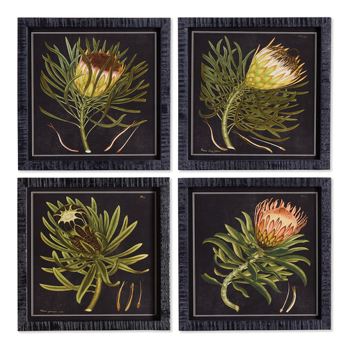 Protea Petite Wall Art Set of 4