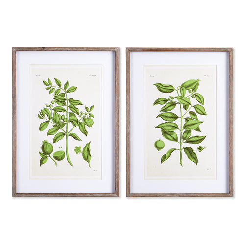 Guava Print Wall Art Set of 2