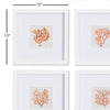 Branch Coral Petite Print Wall Art Set of 4