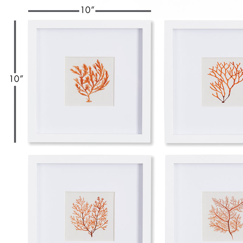 Branch Coral Petite Print Wall Art Set of 4