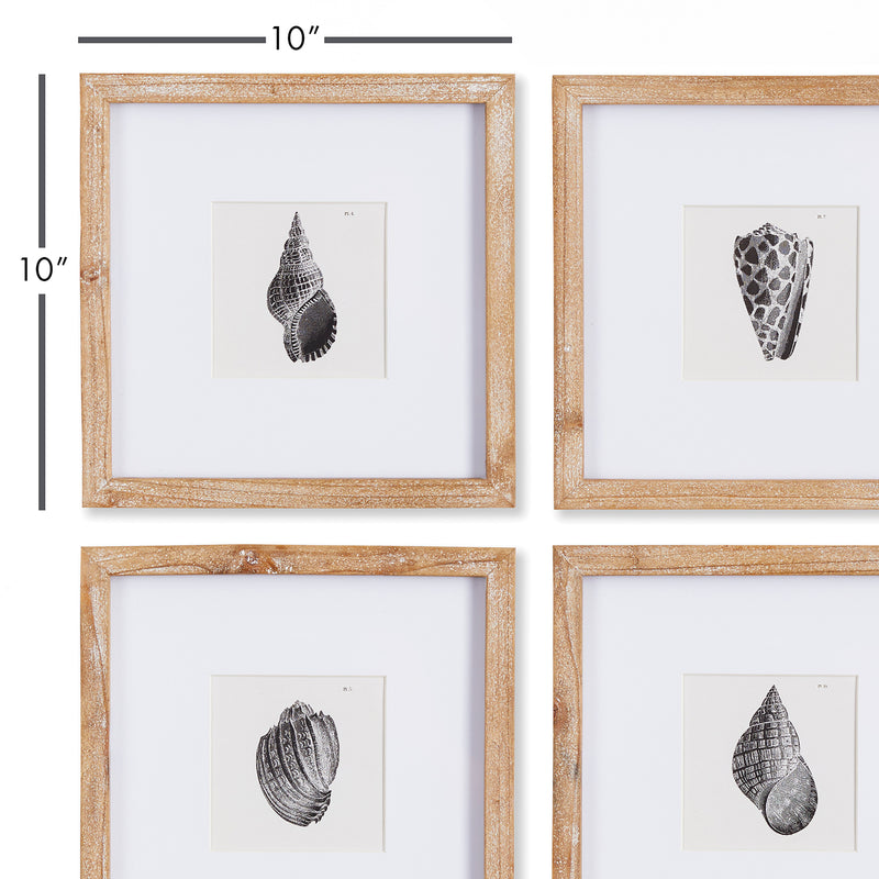 Seashell Petite Wall Art Set of 4