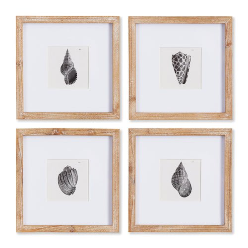 Seashell Petite Wall Art Set of 4