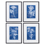 Cyanotype Queen Annes Lace Print Wall Art Set of 4