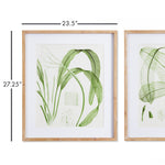 Aquatic Leaf Print Wall Art Set of 2