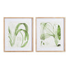 Aquatic Leaf Print Wall Art Set of 2