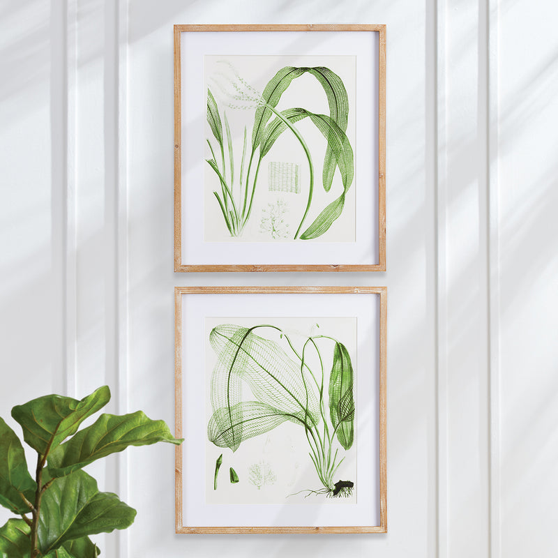 Aquatic Leaf Print Wall Art Set of 2