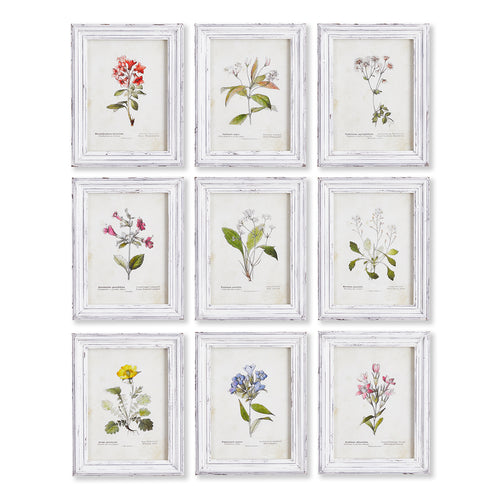 Garden Meadow Study Wall Art Set of 9