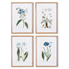 Mountain Botanical Wall Art Set of 4