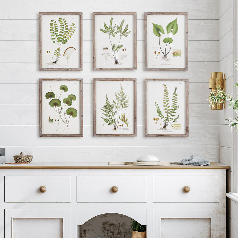 Shade Garden Study Wall Art Set of 6