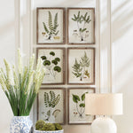 Shade Garden Study Wall Art Set of 6